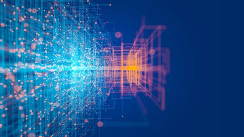 新建县软件开发